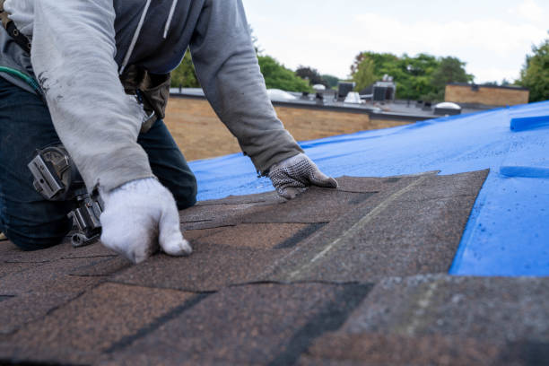 Best Flat Roof Repair Services  in Hertford, NC